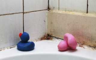 Как убрать плесень с бетона в ванной