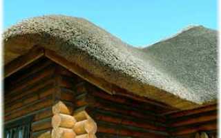 Крыша на сарай из камыша